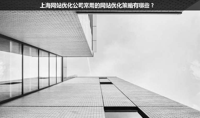 上海網(wǎng)站優(yōu)化公司常用的網(wǎng)站優(yōu)化策略有哪些？