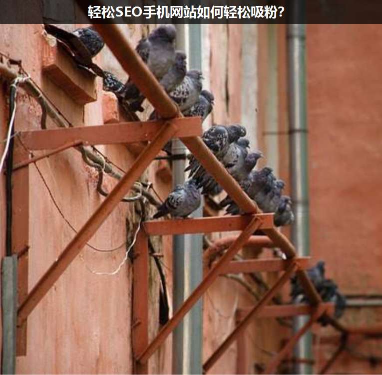 輕松SEO手機網(wǎng)站如何輕松吸粉?