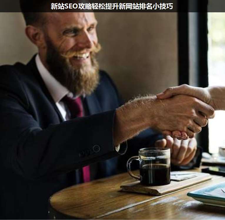 新站SEO攻略輕松提升新網(wǎng)站排名小技巧