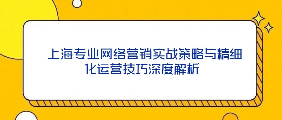  上海專業(yè)網(wǎng)絡(luò)營(yíng)銷實(shí)戰(zhàn)策略與精細(xì)化運(yùn)營(yíng)技巧深度解析